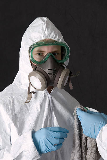 Best Black Mold Removal  in Pion Hills, CA